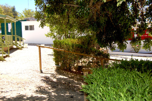 DSC_0902.JPG DSC_0902.JPG