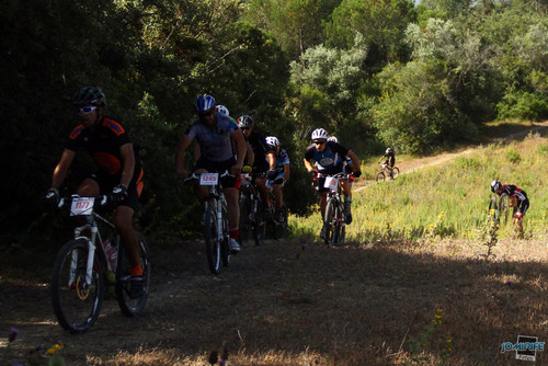 BTT Coimbra XCM 2012 Montemor (087) A subir o vale