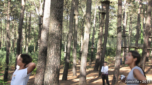 Parque Aventura:Todos olhar para eles lá em cima