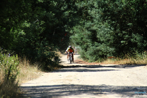 BTT Coimbra XCM 2012 Montemor (226) EstoiraBikes