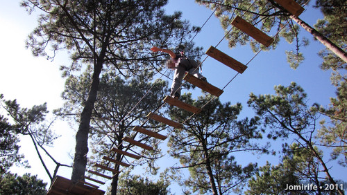 Parque Aventura: Pelas tábuas lá no alto