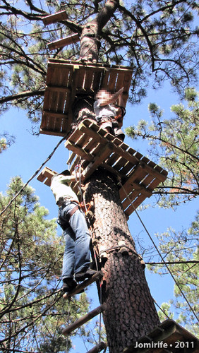 Parque Aventura: Subir a árvore