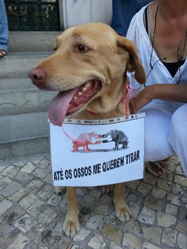 20120915_172549.jpg
