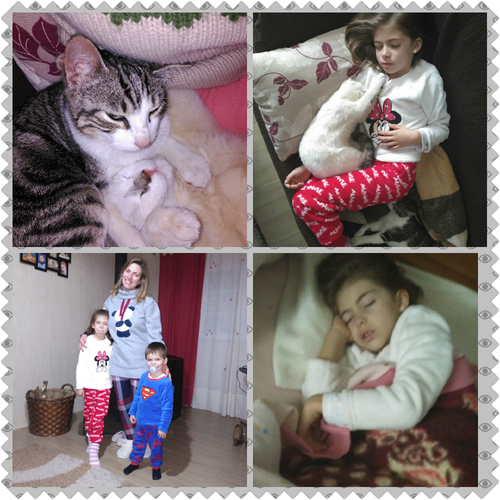PhotoGrid_1484311898151.png PhotoGrid_1484311898151.png