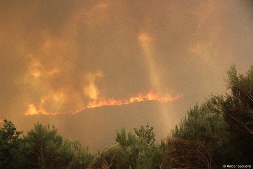 Incêndio 4 - HSequeira.jpg Incêndio 4 - HSequeira.jpg