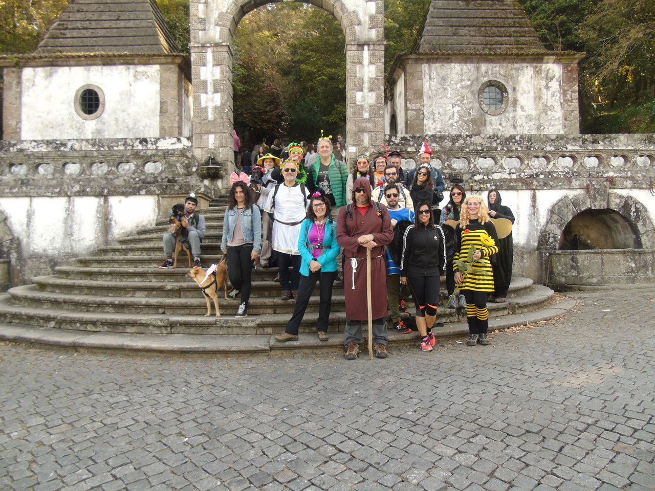 DSC08777.JPG DSC08777.JPG