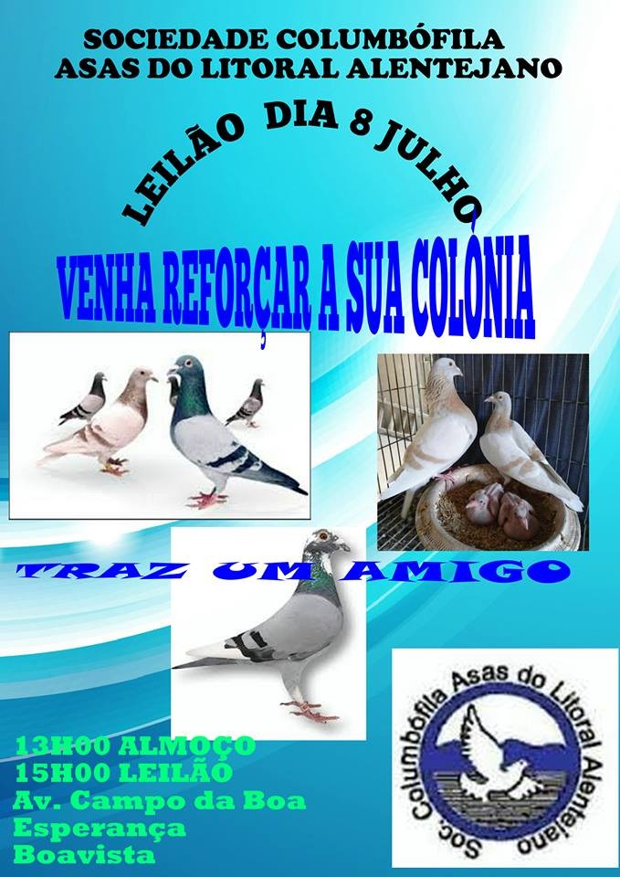 Leilão Asas Litoral Alentejano.jpg Leilão Asas Litoral Alentejano.jpg