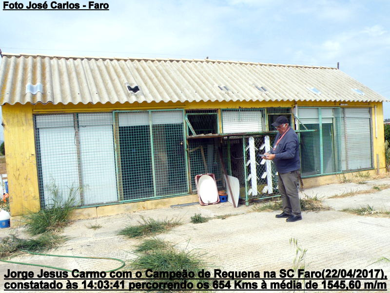 Requena 2017 003.JPG Requena 2017 003.JPG