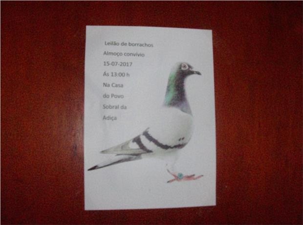 Leilão Sobral Adiça.jpg Leilão Sobral Adiça.jpg