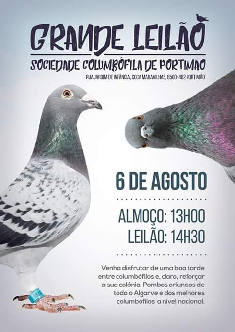 Leilão Portimão.jpg Leilão Portimão.jpg