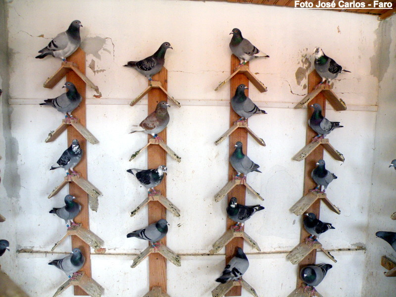 Lagos 004.JPG Lagos 004.JPG