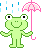 rainy-frog