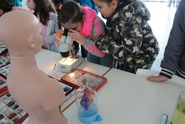 IMG_8676.JPG IMG_8676.JPG