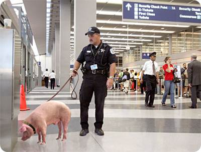 Segurança Aeroportos
