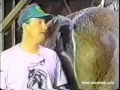 Cavalo solta um peido durante entrevista