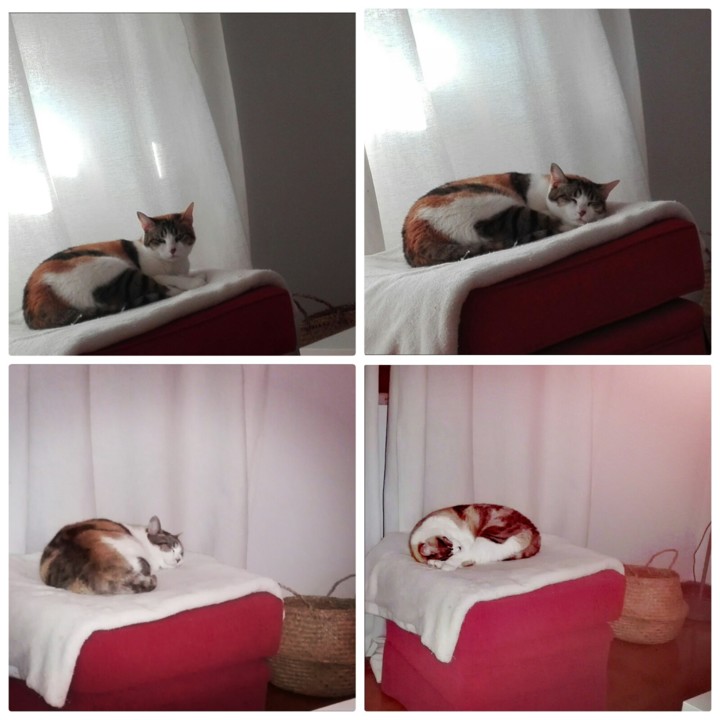 1555885392787.jpg 1555885392787.jpg