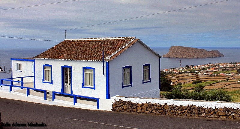 CABRAS.JPG