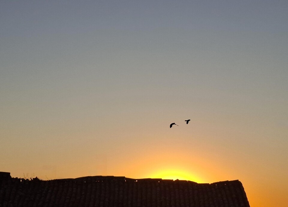 553416440_24725077930514179_446580891278448352_n.j