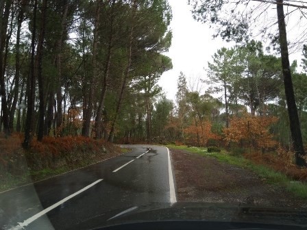 estrada 3.jpeg