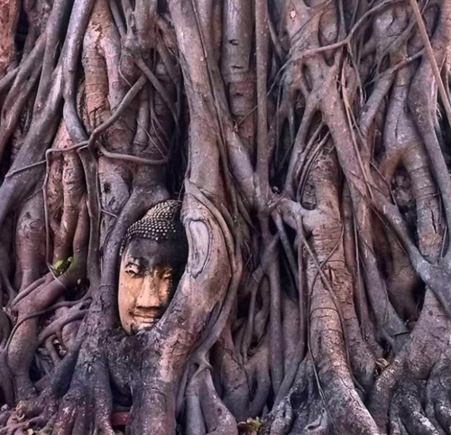 buda.png