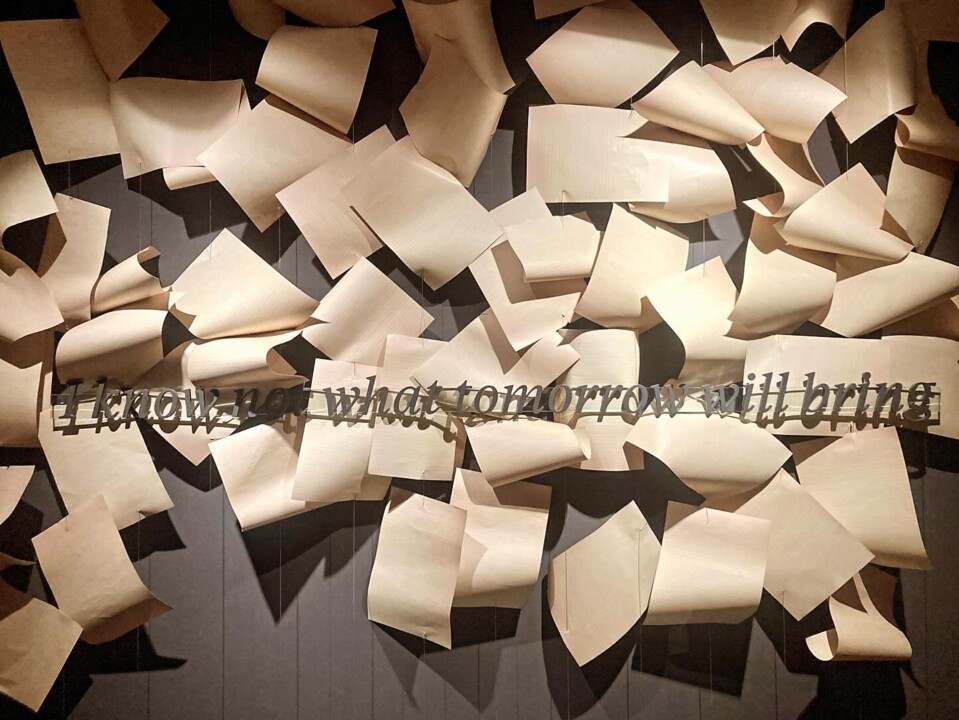 CA5BD30B-8A7A-4236-9CF7-5DF96C5C159D (1).JPG