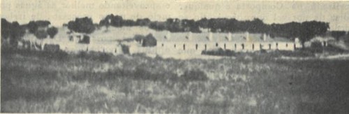 monte de palma.JPG