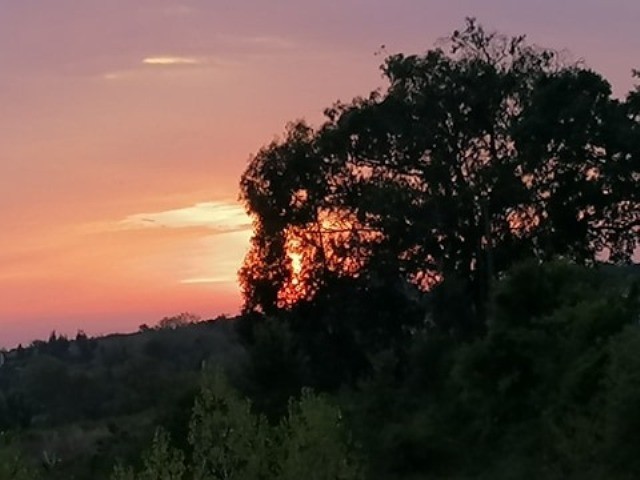 119218641_3223235524458397_6694755808795058091_n.j