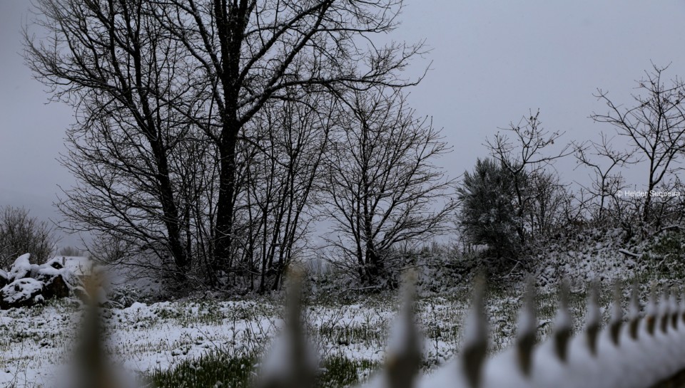 Dia de neve na Guarda - foto HS.jpg
