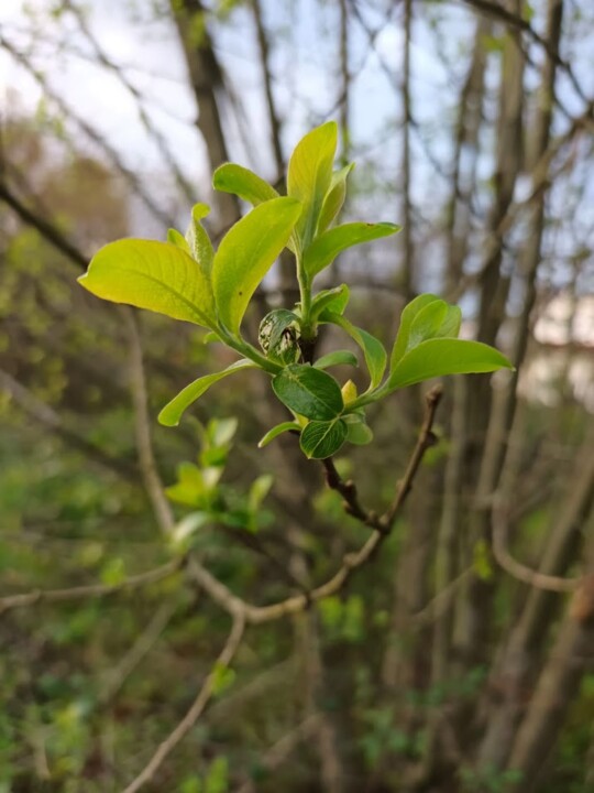 Não me canso disto inverno.jpg