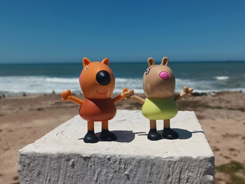 Não me canso disto viagem2.jpg