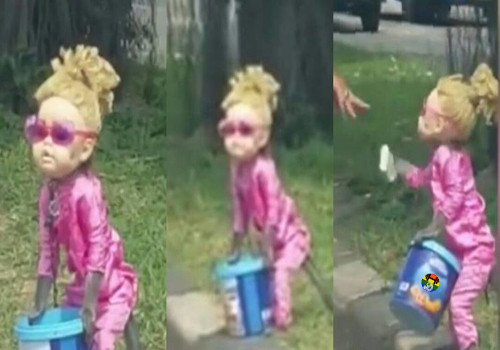 HD Uma macacada de muito mau gosto....jpg