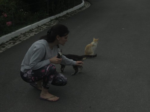 33647285_1658041740977791_2497126954063364096_n.jp