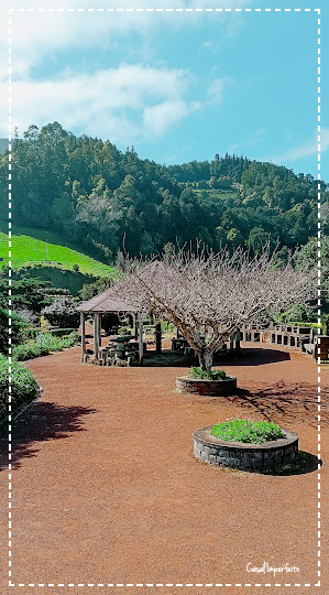 image-fotor-2024040511205.png