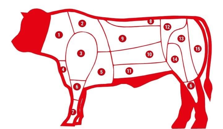 vaca.jpg vaca.jpg