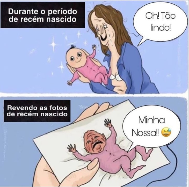 IMG_1052.PNG
