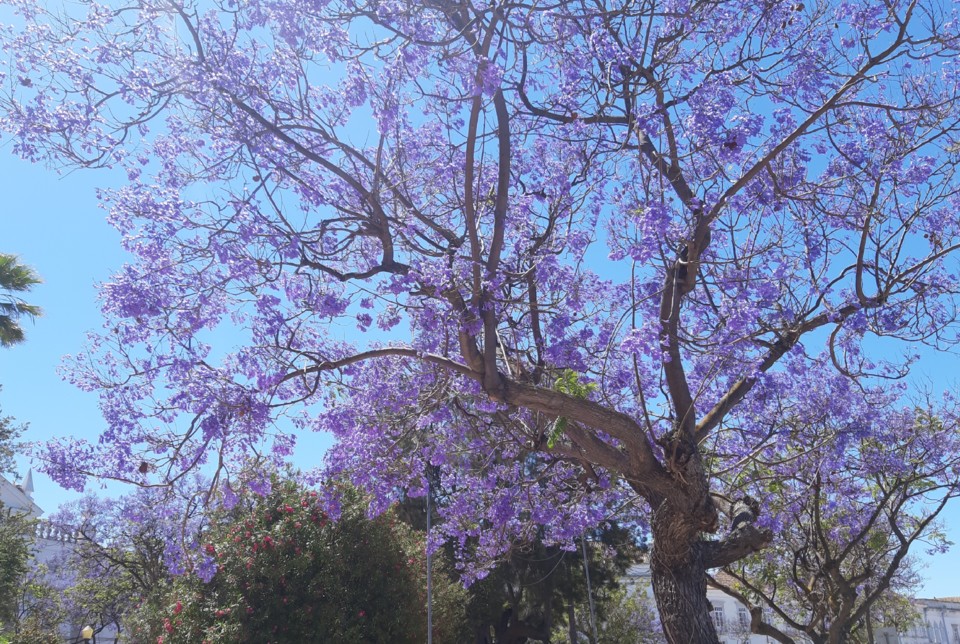 20191114_083731.jpg