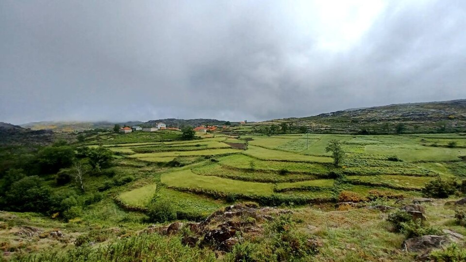 282225316_421371679994055_8391831599338429392_n.jp