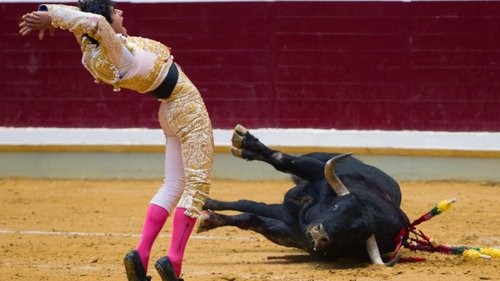 finaciamento às touradas.jpg finaciamento às touradas.jpg