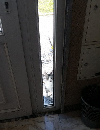 alonemespera.jpg alonemespera.jpg