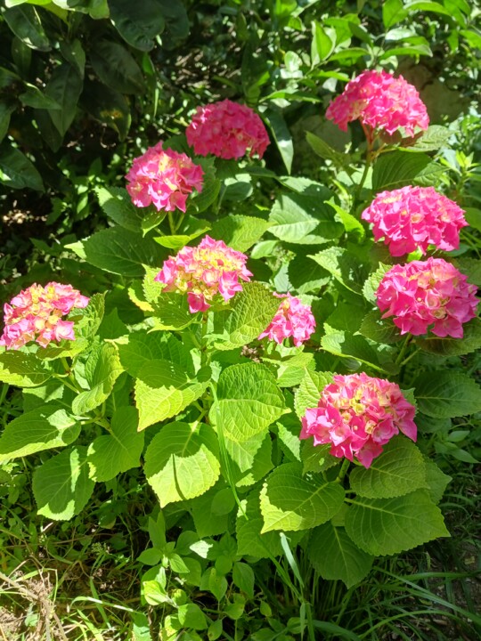 20260530_115232.jpg