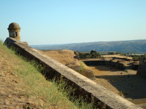 ALMEIDA - foto Helder Sequeira.jpg