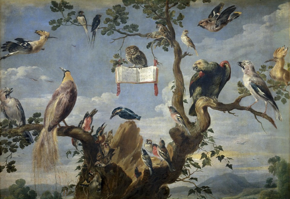 Concert_of_Birds_Frans_Snyders.jpg