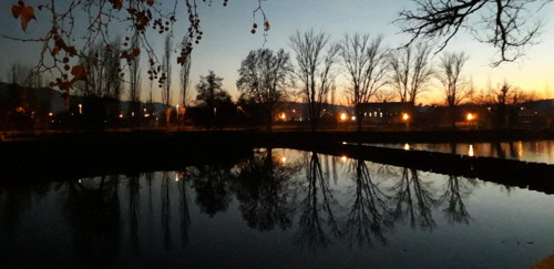 20190114_175903.jpg