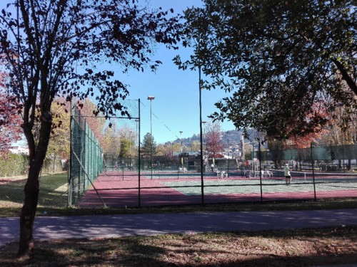IMG_20171119_120217.jpg IMG_20171119_120217.jpg