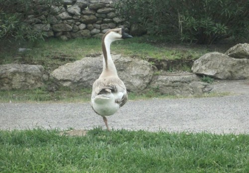 33144254_1652198838228748_2124096455856619520_n.jp