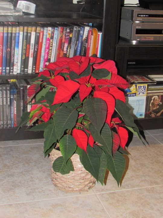 IMG_6168.JPG IMG_6168.JPG