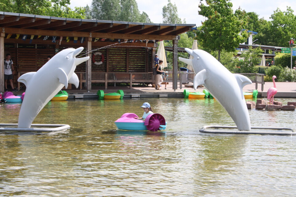 IMG_8412.JPG