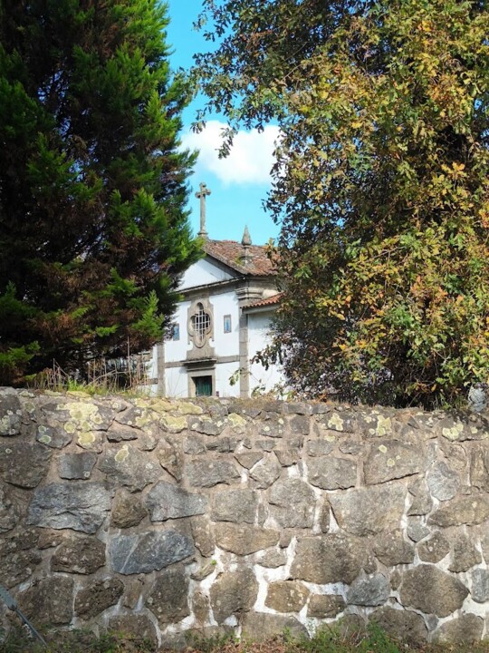 Não me canso disto outono5.jpg