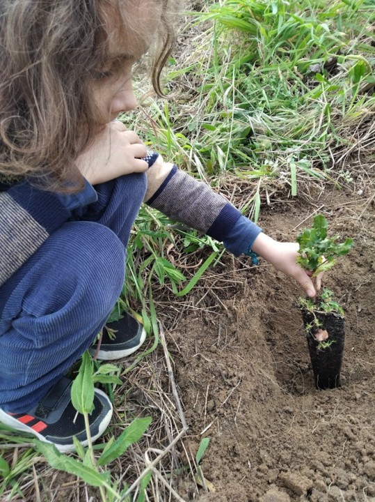 NãoMeCansoDisto_plantar1.jpg