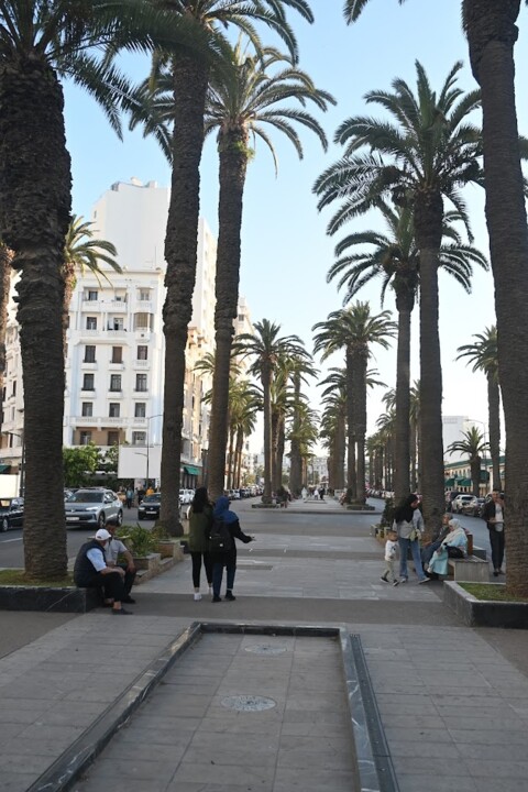 Não me canso disto casablanca5.JPG